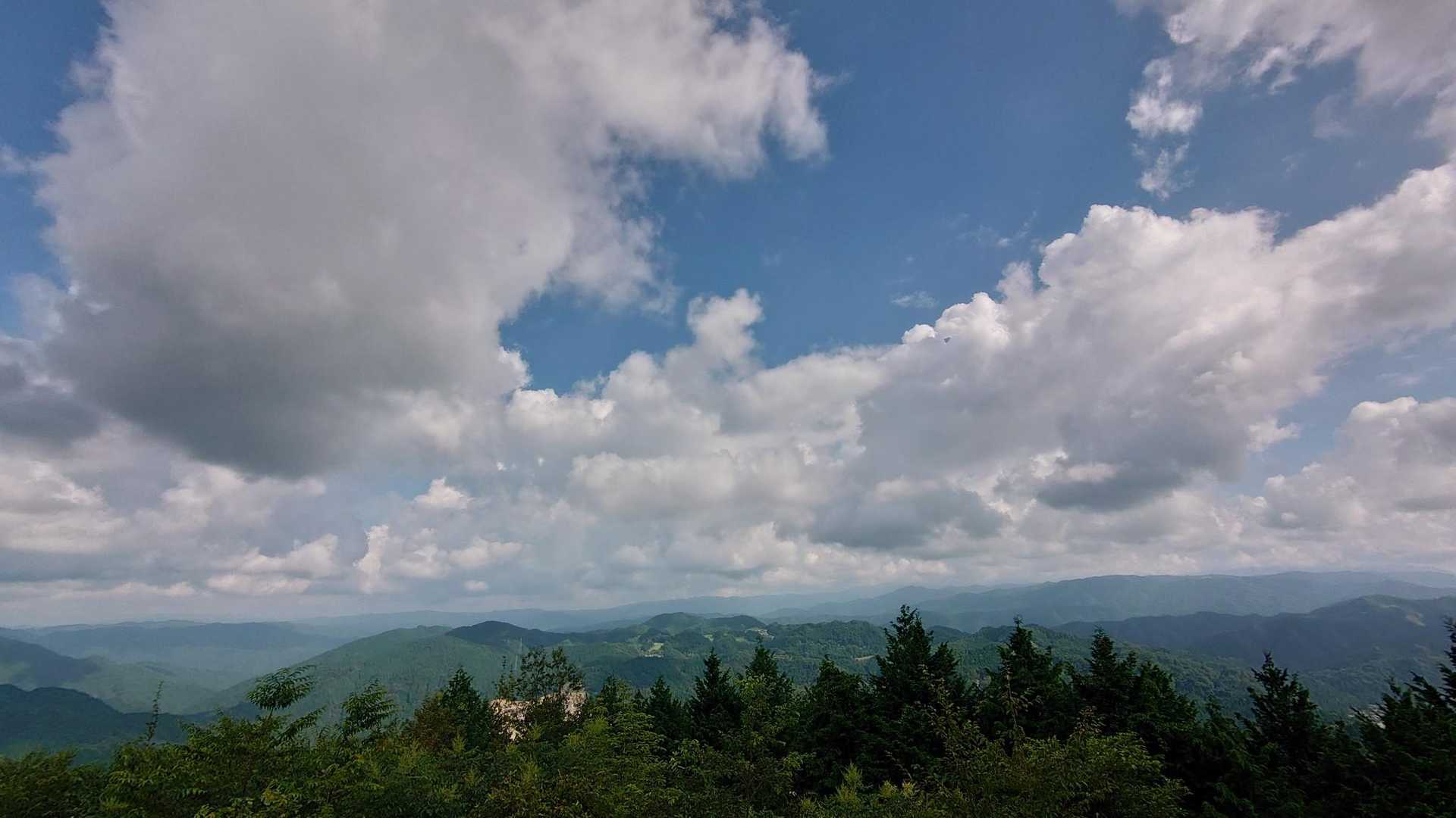 大栗山-月ヶ平-夏焼城ヶ山 往復コースの写真