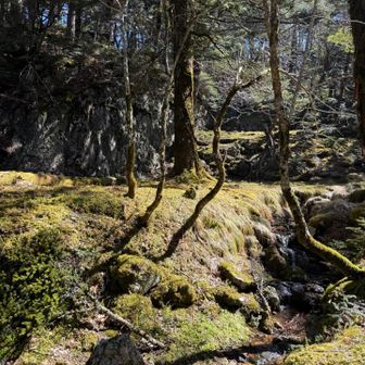 せせらぎの音が気持ち良すぎ👏