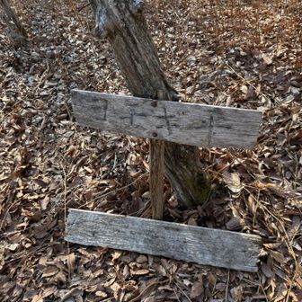 ヨモギ平到着🙌