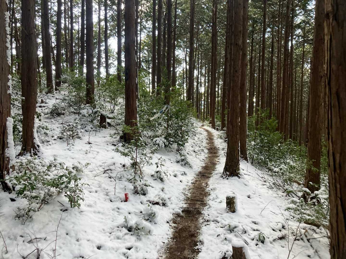 一部真っ白なところやドロドロの箇所もあり・・・