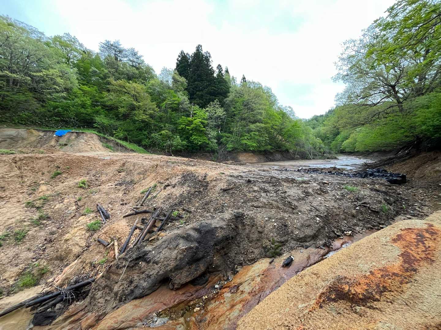 米太平山 周回コースの写真