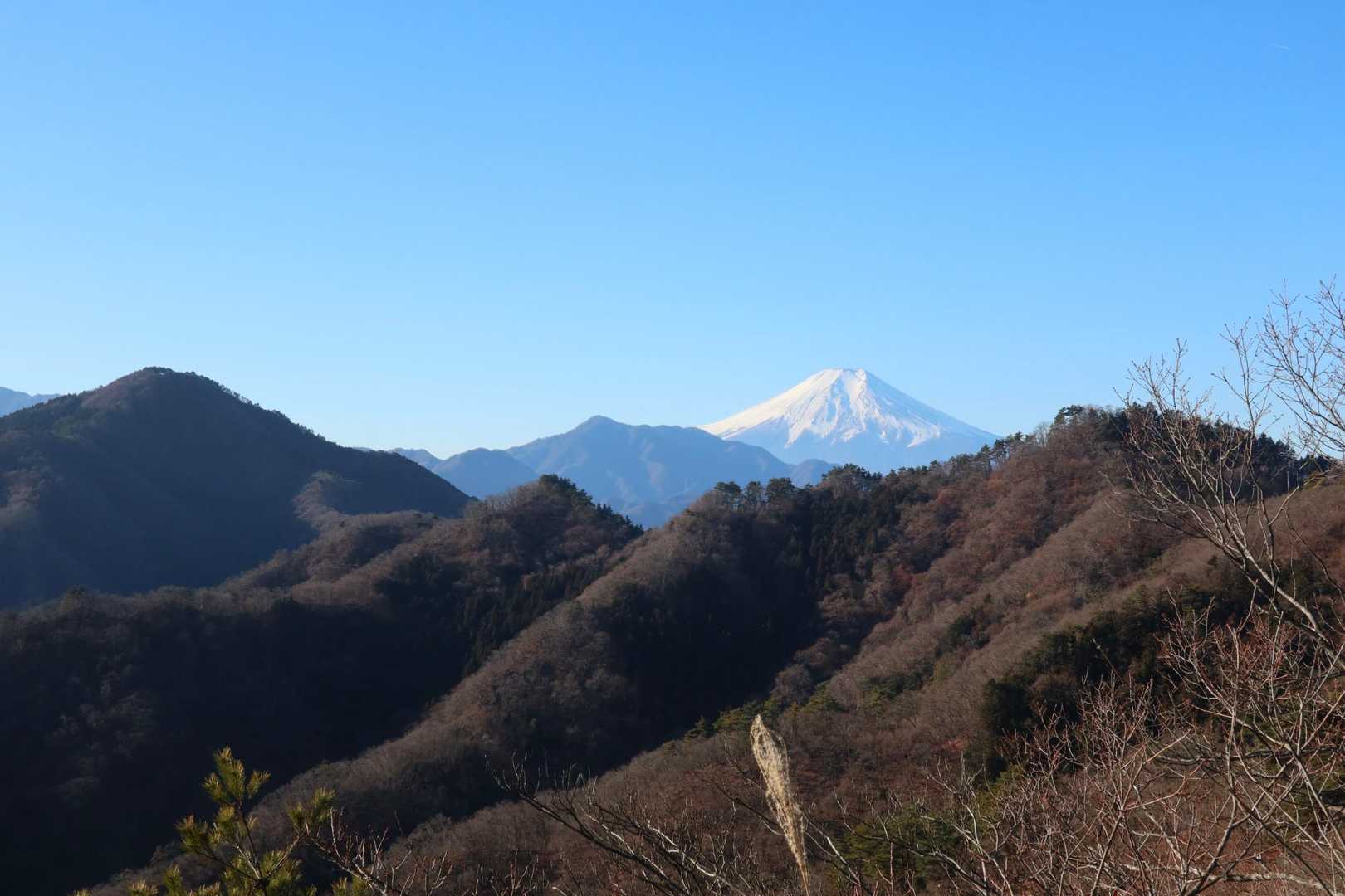 今日もくっきり😌