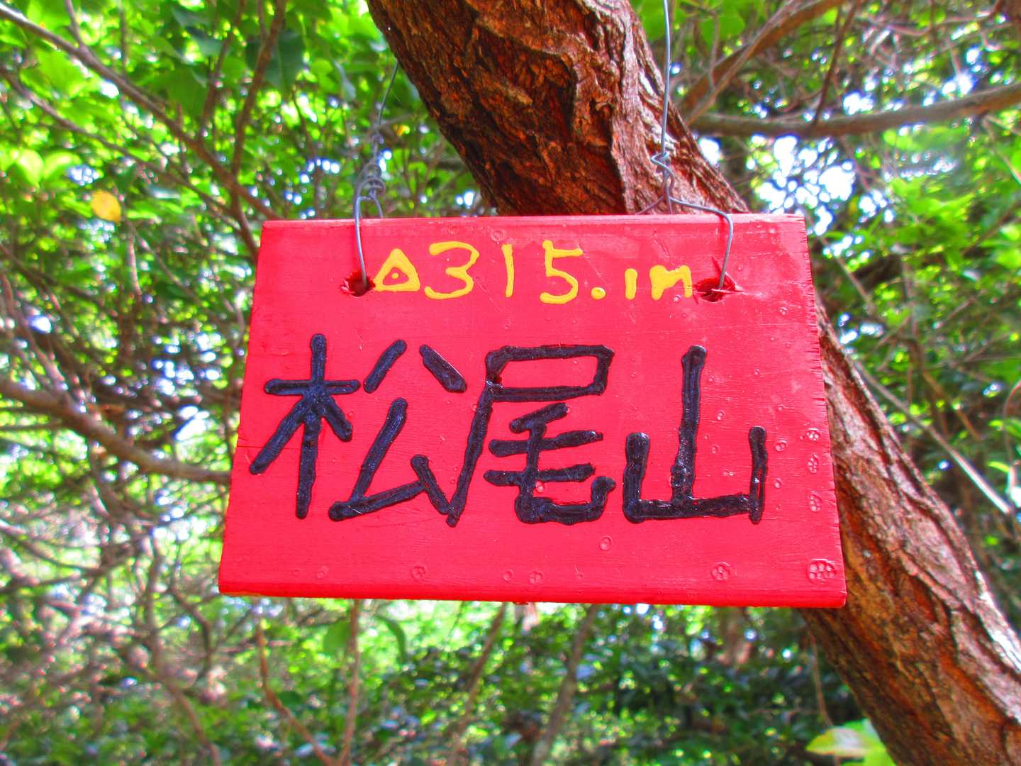 JR法隆寺駅-松尾寺-松尾山-矢田峠-矢田山-南生駒駅 縦走コースの写真