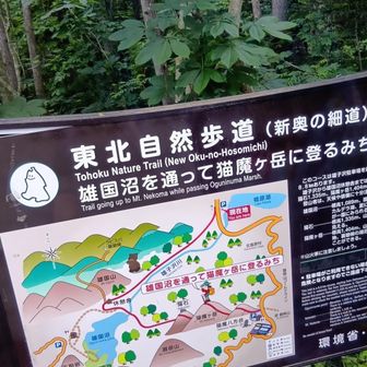 猫魔ヶ岳も行ってみたい😃