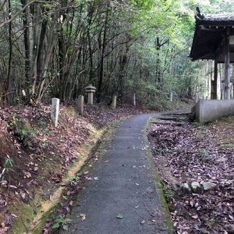 石柱並ぶ