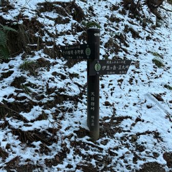 天目指峠
ここから子ノ権現までの登り、年々きつく感じる🤣