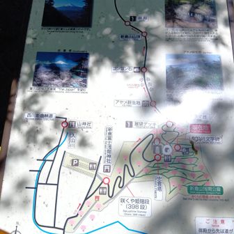 新倉富士浅間公園へ