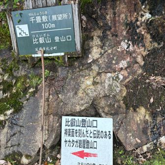 北口から登って復路ルートは、山頂で決めることに。カランコロンも行けたらいいな。