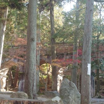 水路閣は前回ゆっくり見れなかった所