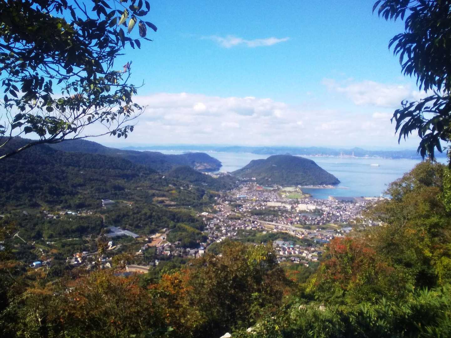 勝賀山 往復コースの写真