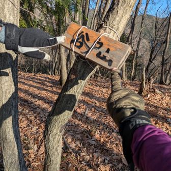 完全制覇達成おめでとう🥳
谷戸山山頂　明るく広くて
想像よりもいい所👍でした
