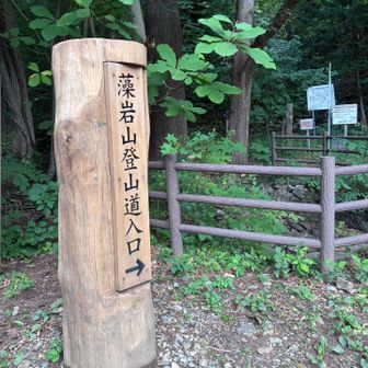 今日は一番好きなスキー場コースから
いつも見ているあの山の形を、そのまま自分の足でなぞるように滑れるから大好き
今、あの辺にいるんだなーって想像できて楽しい