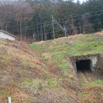 恐る恐る通り抜ける💦
きさらぎ駅に続く都市伝説・霧島駅とはここだったのかもしれない🤣