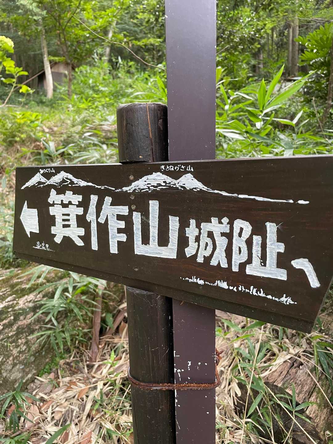 この城跡は遺構に石垣ないから大丈夫😁