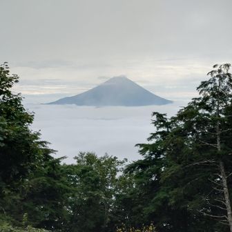 奥の院から富士山🗻が良く見えて来ました☺️