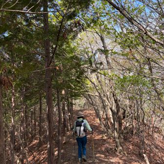 さらに樹林帯を進む君
