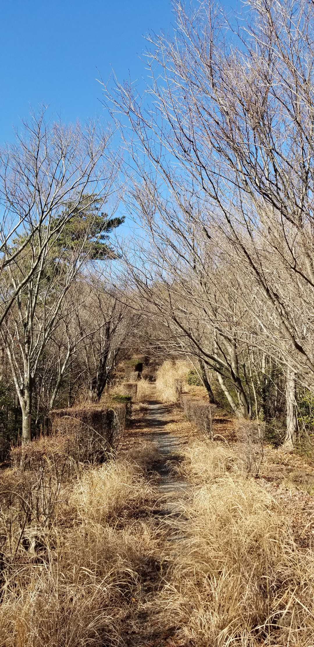 良い天気♪