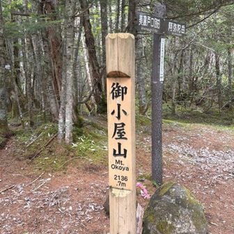 山と言えるのか？平坦な所に山がありました⛰️