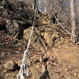 伝わらないけど激下り。
落ち葉いっぱいで滑ります。
ロープを頼りに…。

こんな感じの箇所が何個かありました。
下りで使う道じゃないな…。
登りこっちにした方が楽だったかも。
または、河口湖駅に降りた方が楽だったな。