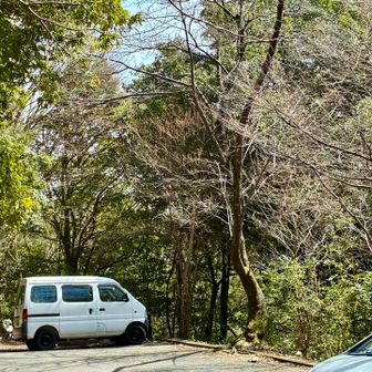 駐車場🅿️に戻りました。