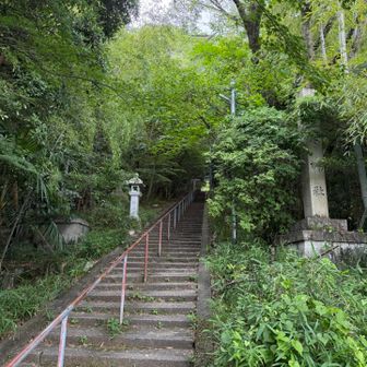 長〜い石段を下りてきて登山口。ここから駅まで舗装路です