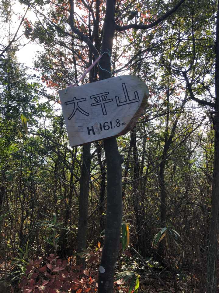 山頂の看板