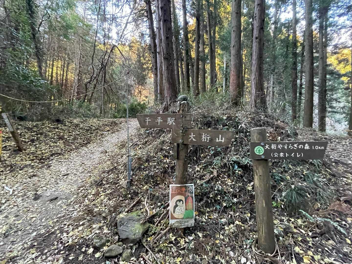 道沿いの登山口からスタート三/ * ॑꒳ ॑*)/