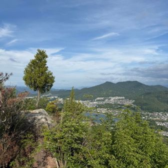 遠くに絵下山の鉄塔が見えました😲