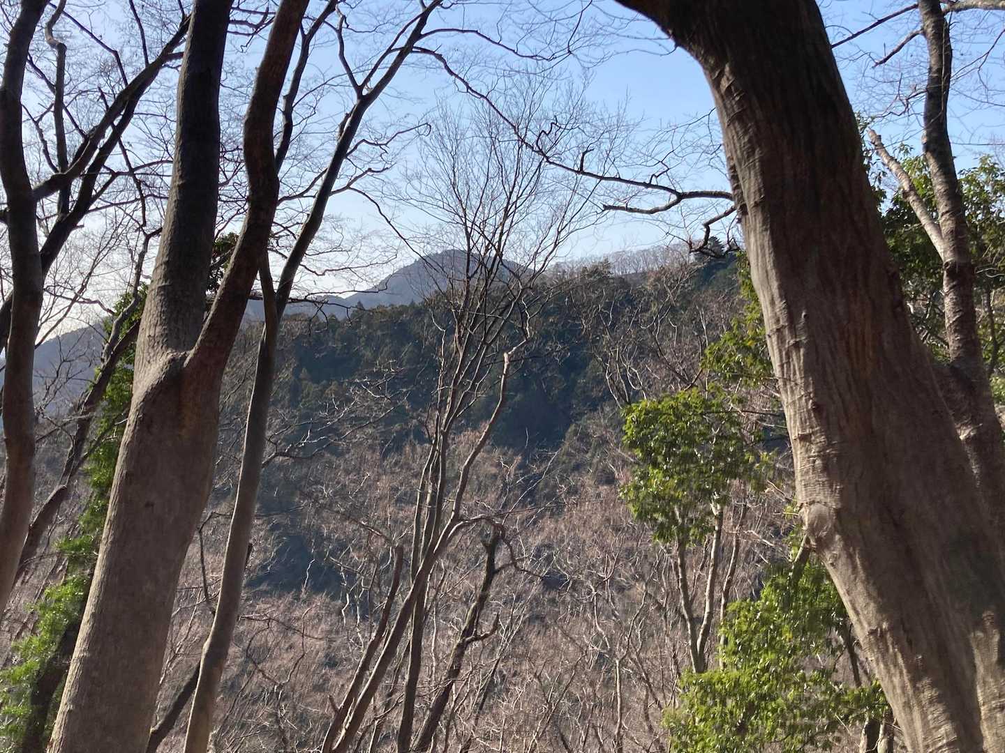 何山だろう