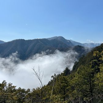 山頂付近は快晴。やや低いところはまだ霧の中？
