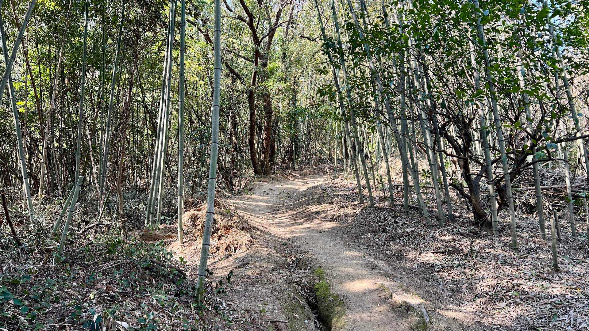 登山道はしっかりしていますね