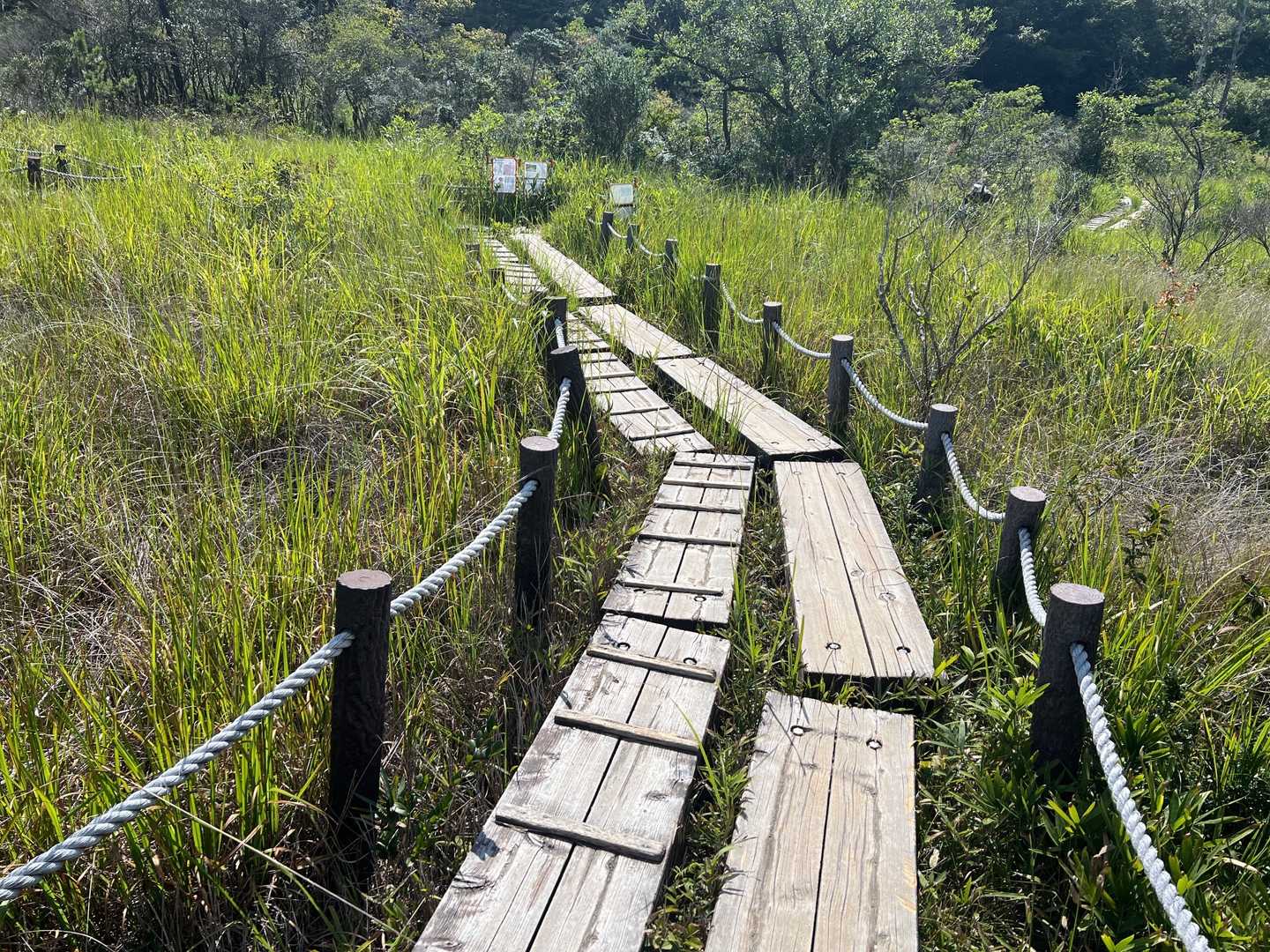 葦毛湿原内は直接歩けないので、全てこんな道が用意してあります。