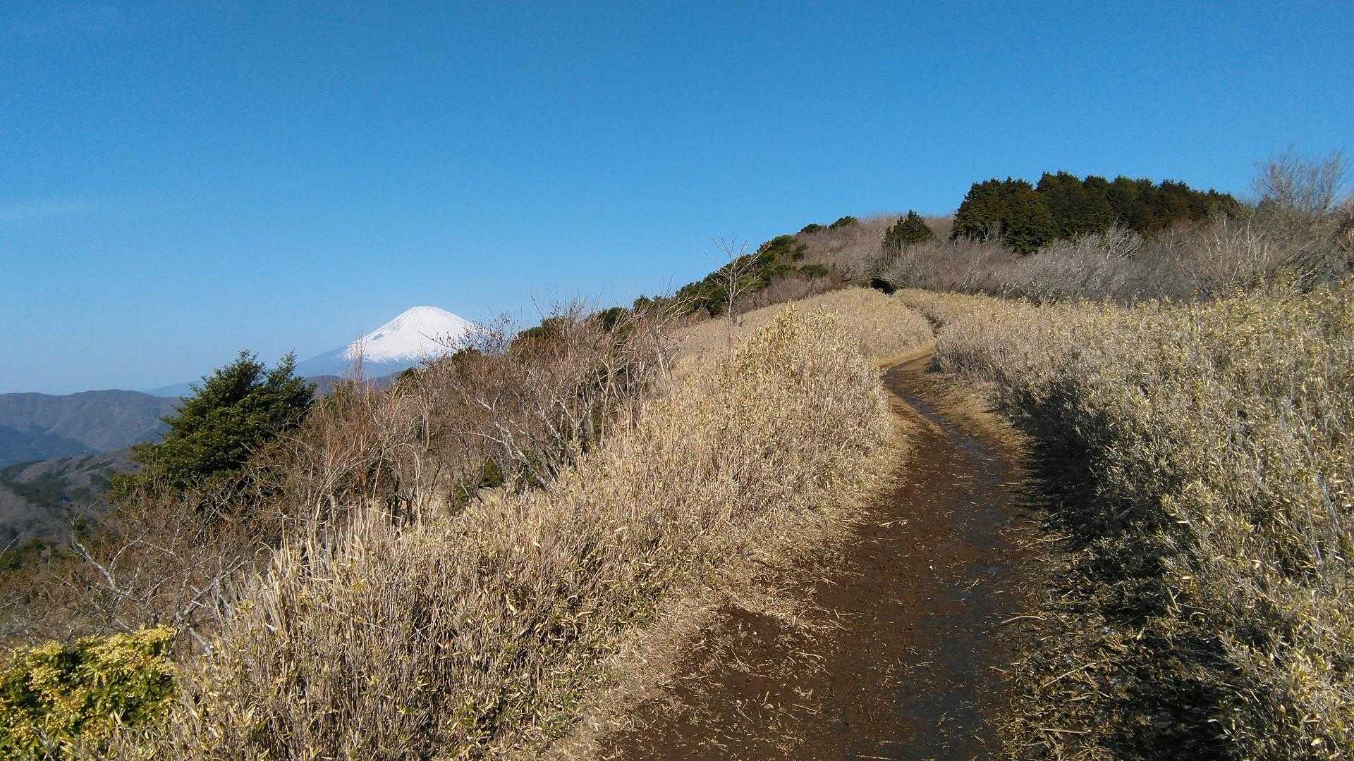 稜線歩きは気持ちがいい