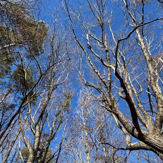 こんな素敵な山なんてびっくりです