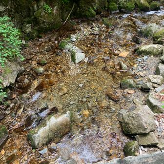 12、白草山へ⑧
水も綺麗です