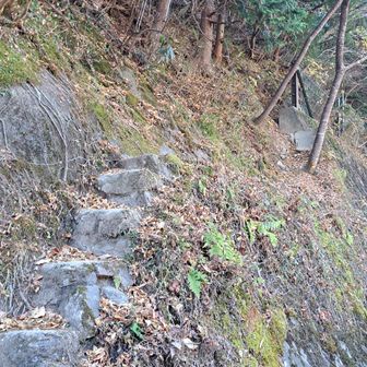 ここが今回の登山の入り口😂
標識もなく見逃した！笑