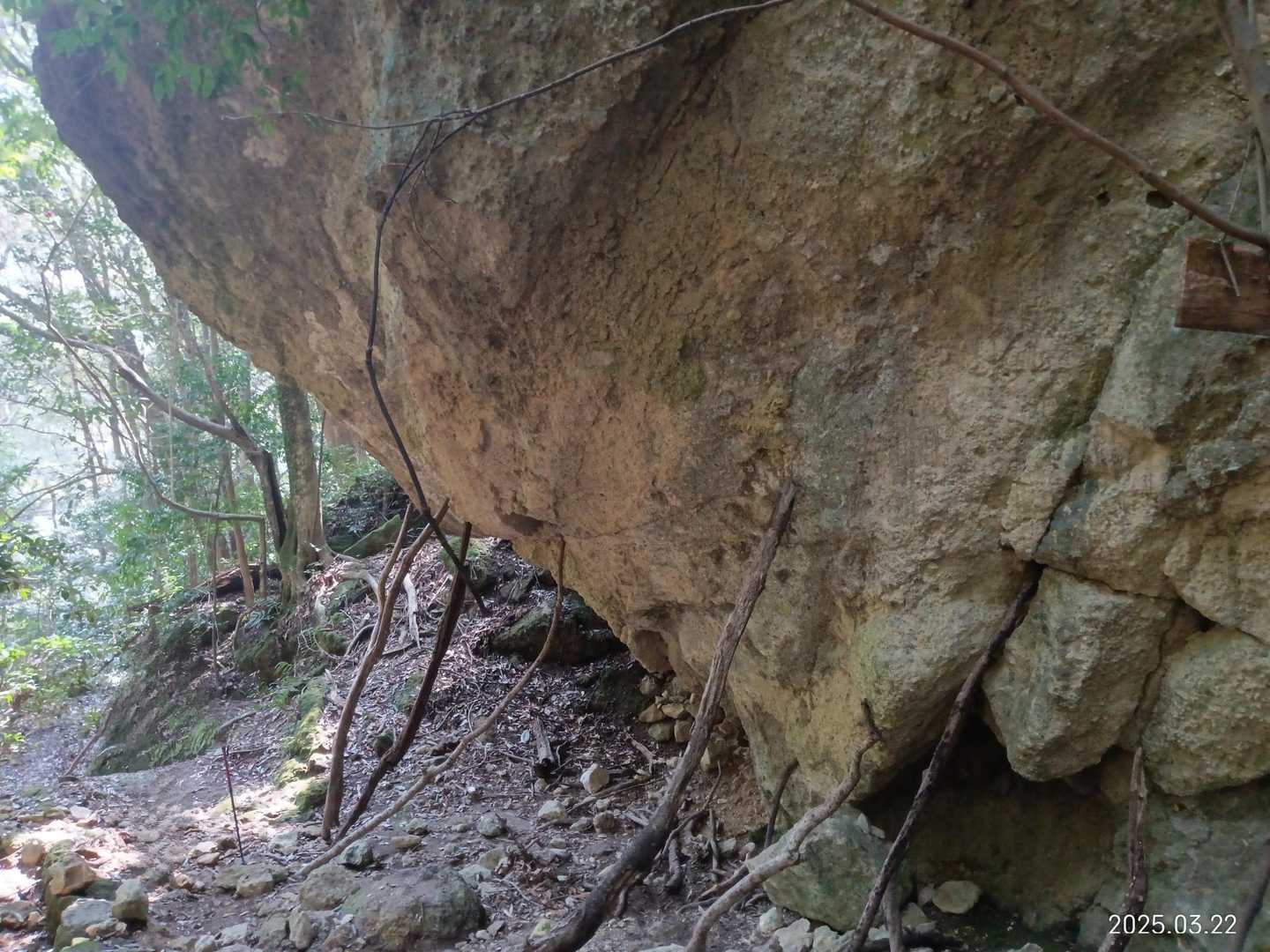 この棒で大丈夫かな😱