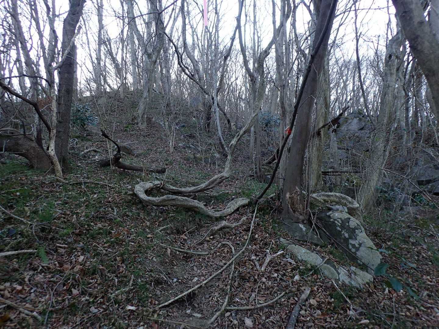 まもなく山頂だろうが、この殺伐とした風景が続く