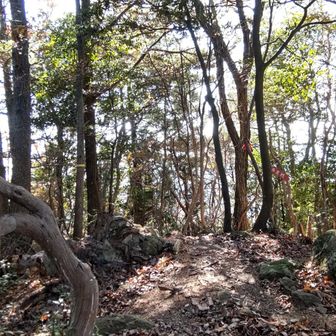 十字峰山頂は眺望なし