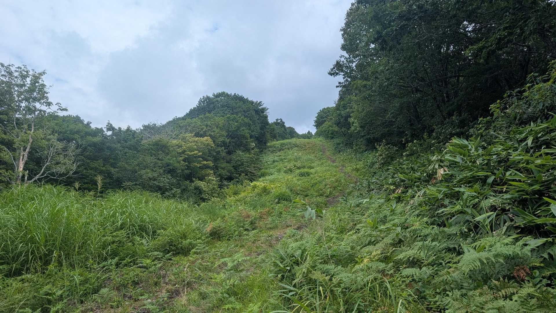 かなりの距離をスキー場の林間コースを登るので日差しが。。暑い。。夏は厳しい。日陰をくれー。
