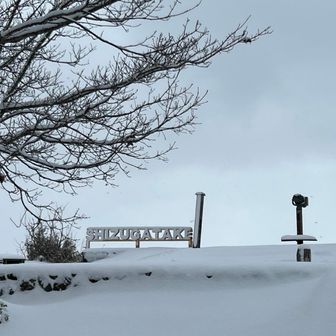 この辺りで積雪30センチ位かな？スノーシューが欲しくなった
