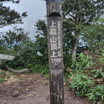 山頂は見晴らしなし。