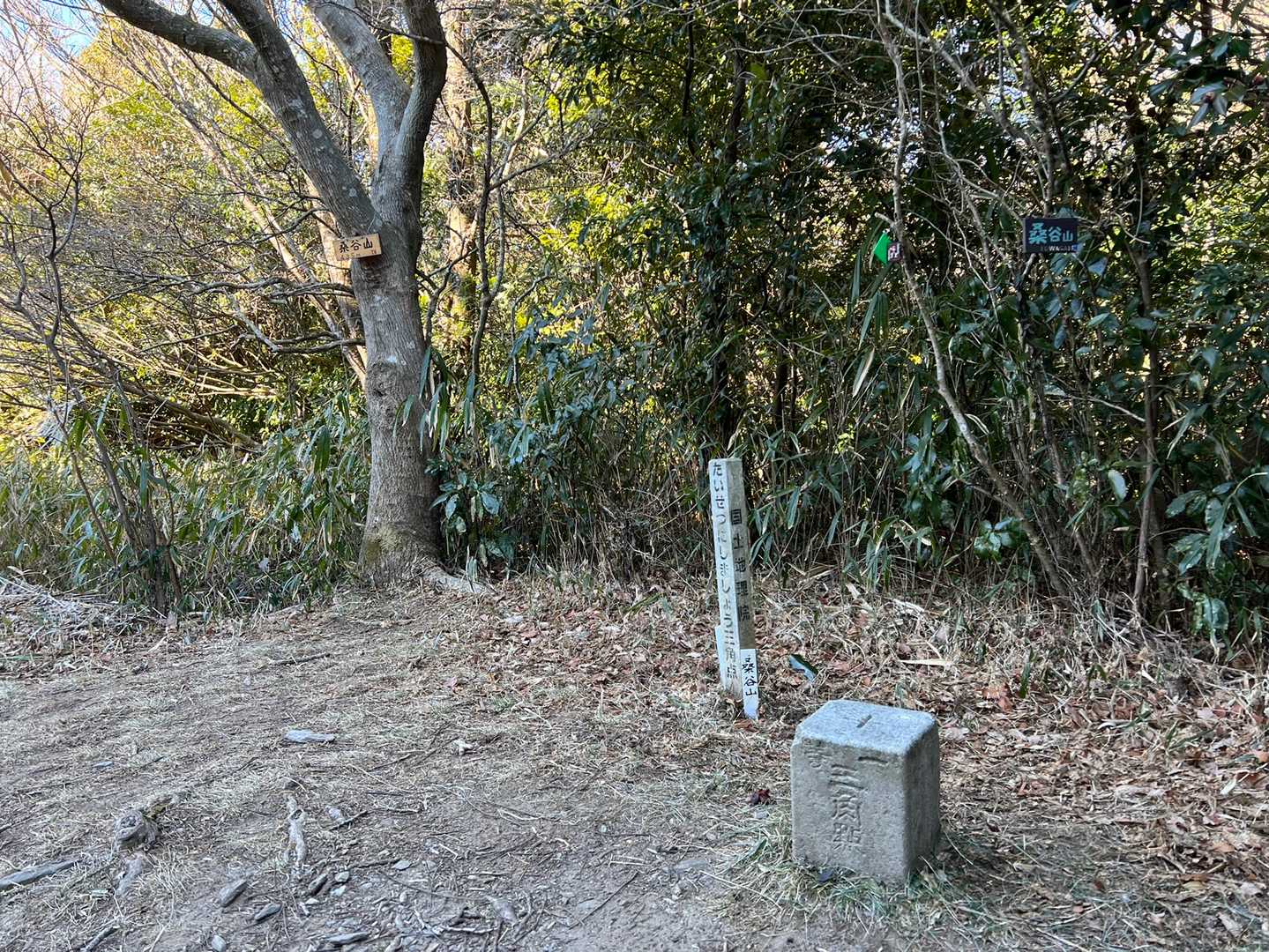 桑谷山。
会いたかった一等三角点。点名「桑ヶ谷村」くわがやむら。選点は明治13年。