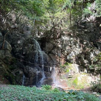 綺麗な形の岩清水
