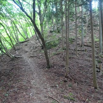 登り