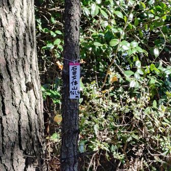 女体山(石田）
看板が寂しい😢