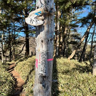 小雲取山⛰️