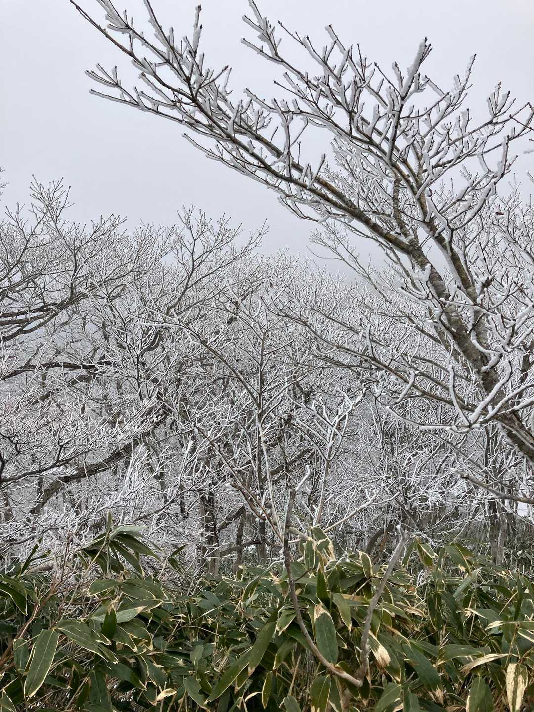 良いでしょう
まさか樹氷が見られるなんて