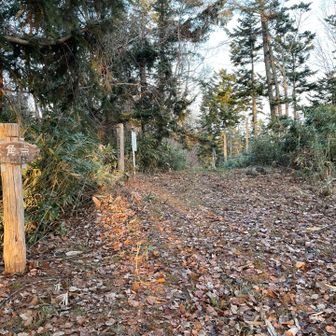 本日2度目の月寒台
左の藪からごそごそと音が…
