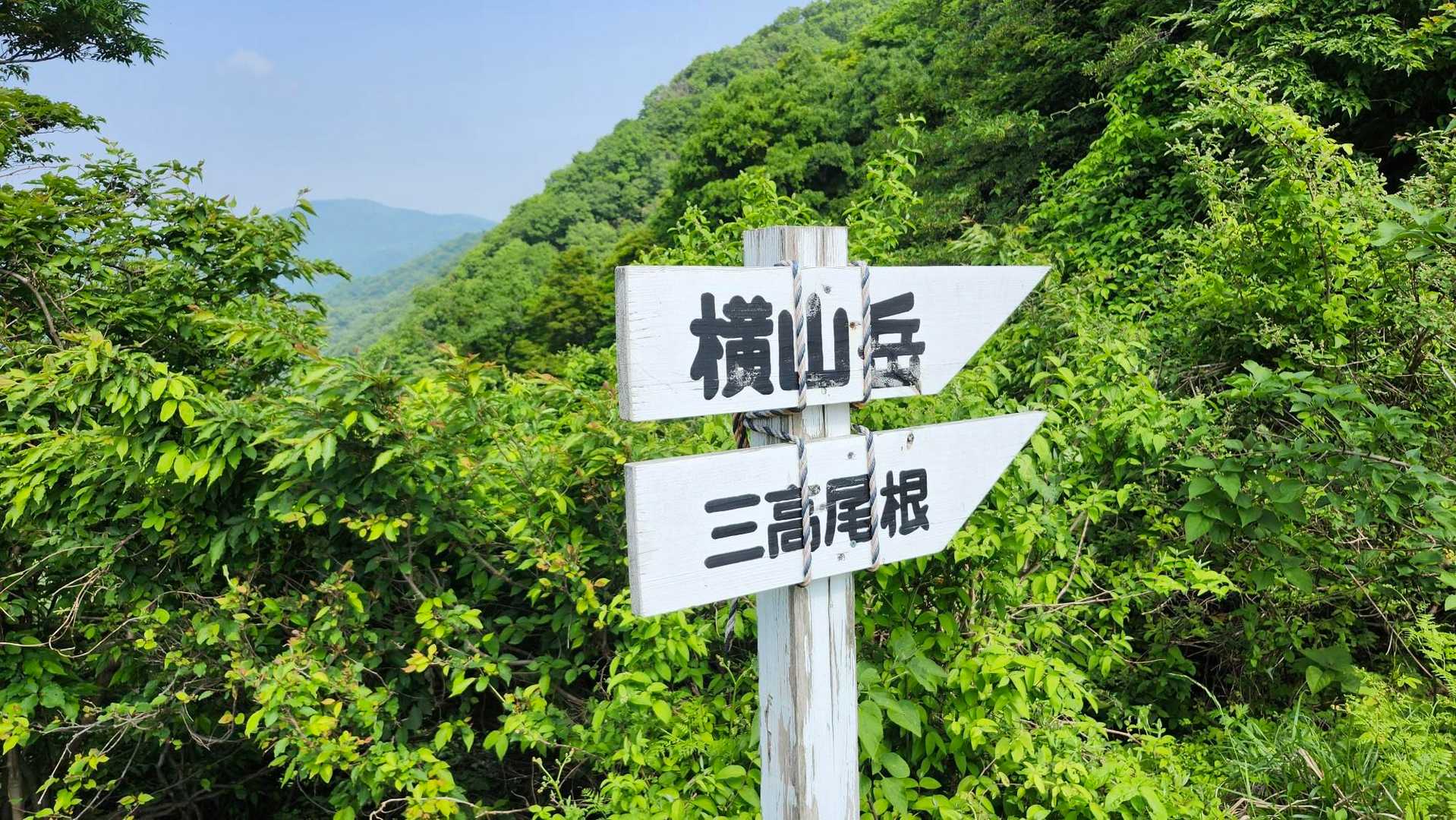 白谷登山口-エコチ谷登山口-鳥越峠-横山岳-横山岳-東尾根 周回コースの写真